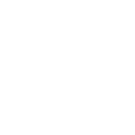 Frame 2 Raisecom logo