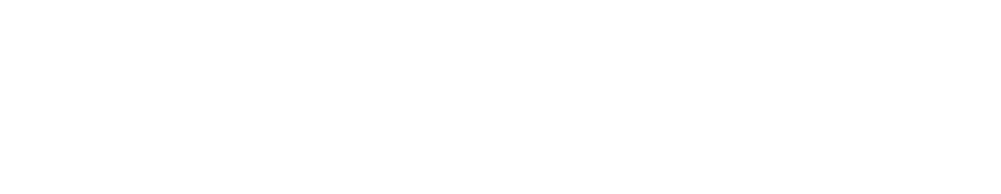 Netoptiks logo